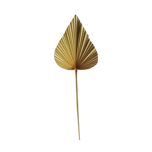 Palmblad tak gedroogd hoge kwaliteit 50cm