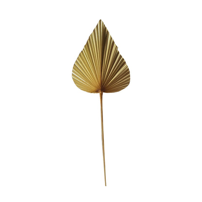 Palmblad tak gedroogd Hoge kwaliteit 40cm